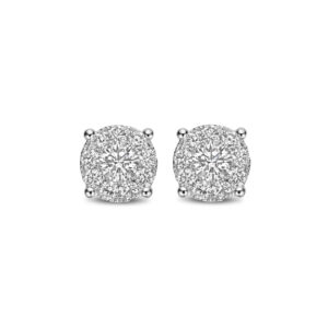 Style Diamonds earrings