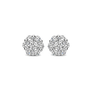 Style Diamonds earrings
